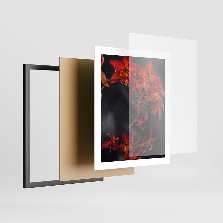 Plakat w ramie 40x50 - Kolorowy Raj - kwiaty, tropikalne - rama czarna
