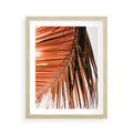 Plakat w ramie 40x50 - Słońce na Palmie - palma, promienie słońca - rama drewno