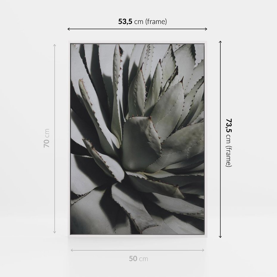 Obraz w ramie 50x70 - Sukulenty wśród kaktusów - sukulenty, kaktusy - rama biała