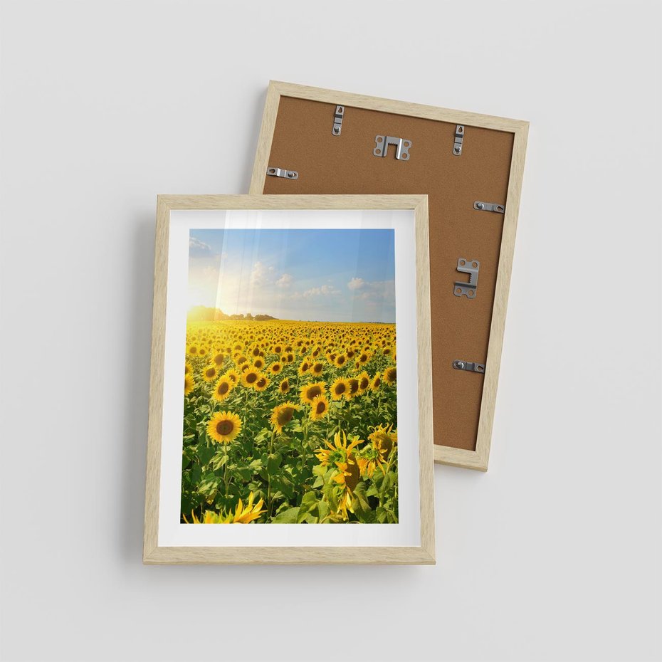 Plakat w ramie 30x40 - Idylla na łące słoneczników - łąka, słoneczniki - rama drewno
