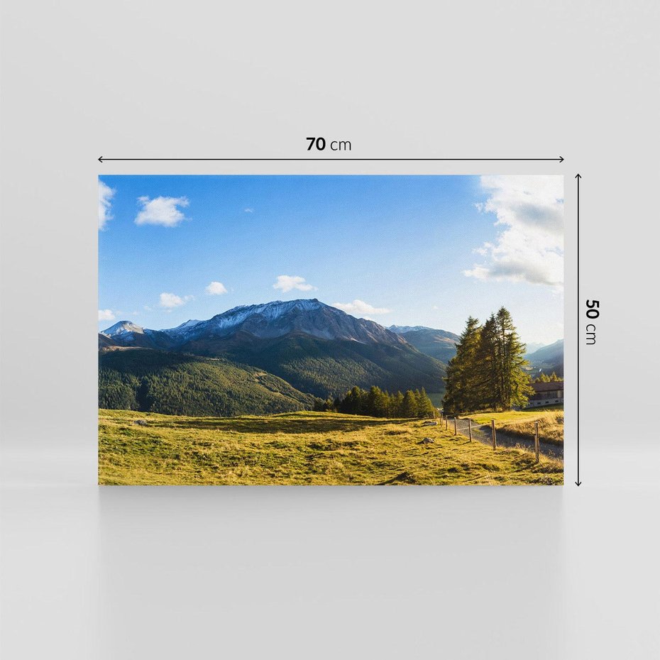 Obraz na płótnie 70x50 - Górski pejzaż: łąka i szczyty - góry, łąka
