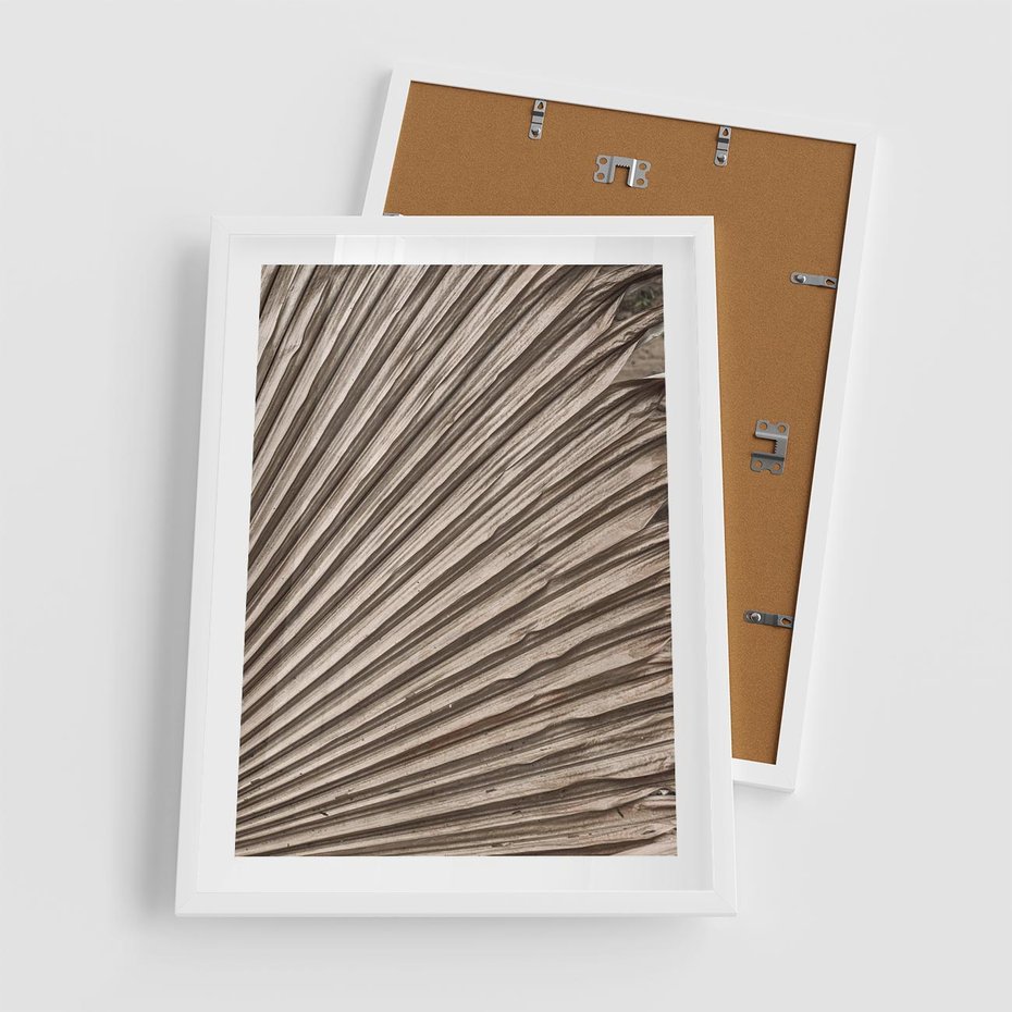 Plakat w ramie 50x70 - Liść Palmy w Wyjątkowej Kompozycji - suchy liść palmy, boho styl - rama biała