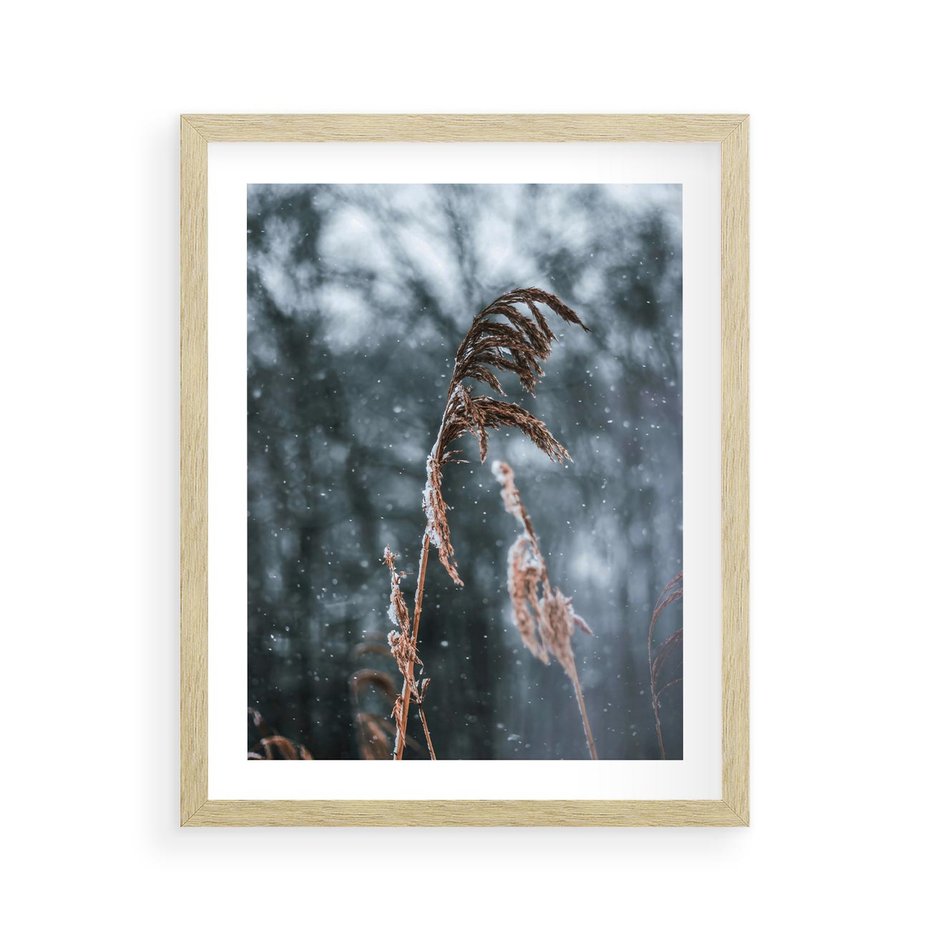 Plakat w ramie 40x50 - Zima na Łonie Natury - sucha wysoka trawa, w zimie - rama drewno