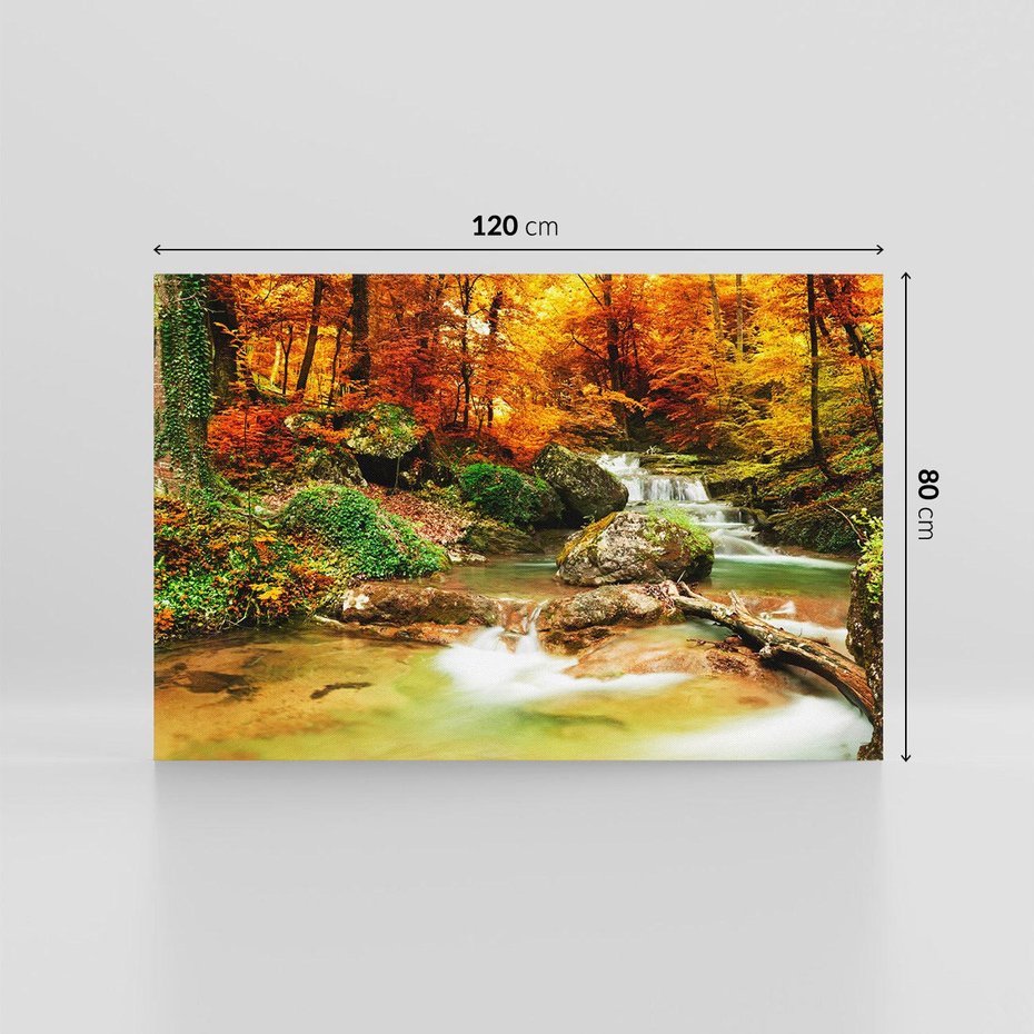 Obraz na płótnie 120x80 - Idylliczny las z bujnym strumykiem - las, drzewa