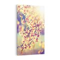 Obraz na płótnie 80x120 - Kwiatowa Wiosna - kwiaty, wiosna