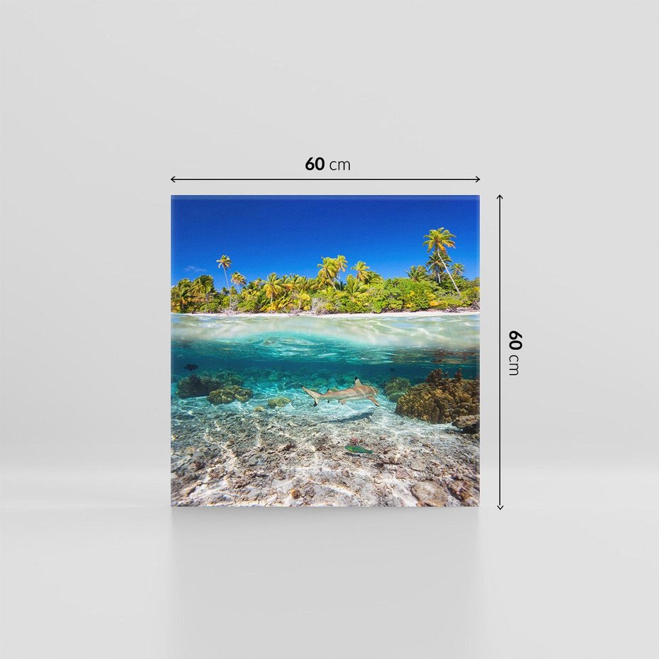Obraz na płótnie 60x60 - Tropikalne Morze i Kolorowa Rafa - tropikalne, morze