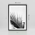 Plakat w ramie 50x70 - Sztuka Natury: Monochromatyczna Palma - palma, czarno białe zdjęcie - rama czarna