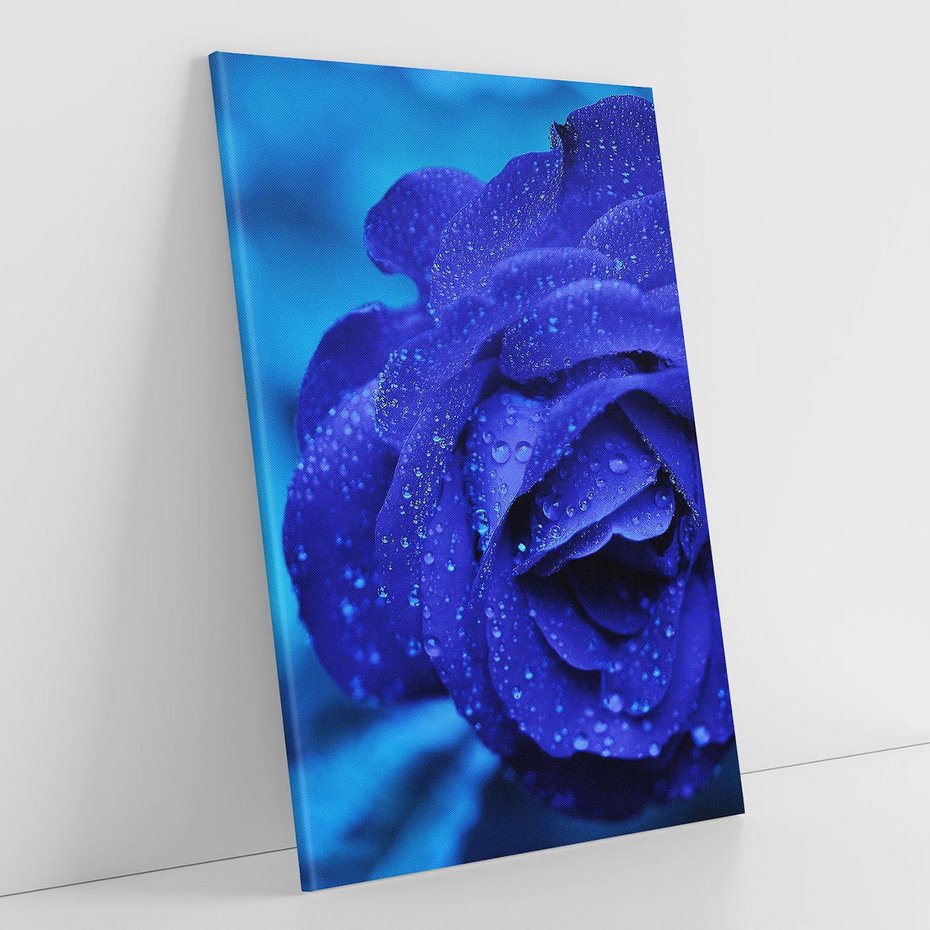 Obraz na płótnie 70x100 - Róża w pełnym rozkwicie - róża, kwiat