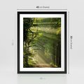 Plakat w ramie 40x50 - harmonia natury - las, drzewa - rama czarna