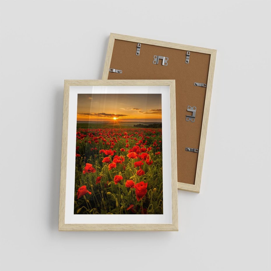 Plakat w ramie 30x40 - Maki przy zachodzie słońca - maki, zachód - rama drewno