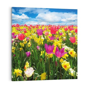 Obraz na płótnie 50x50 - tulipany na łące - kwiaty, tulipany