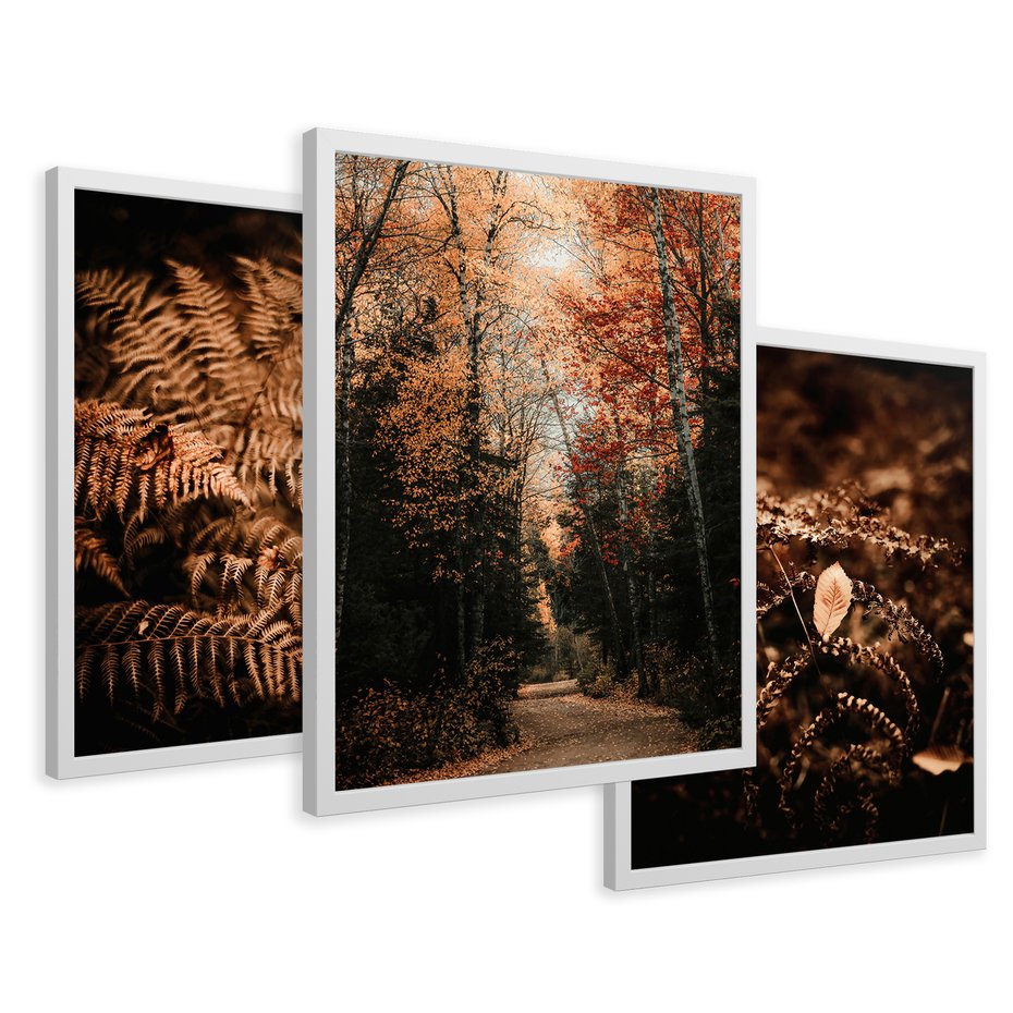 Zestaw obrazy w ramie 50x70 galeria - Bogo, jesienny, las, paprocie - rama biała