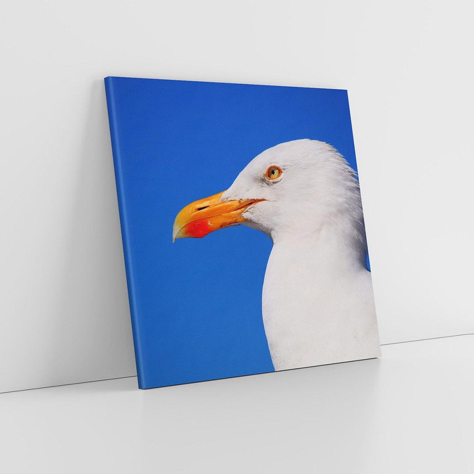 Obraz na płótnie 40x40 - Mewa nad morzem - mewa, pstak