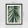 Plakat w ramie 40x50 - Spokojna Piękność Palmowych Liści - palma, liście palmy - rama czarna