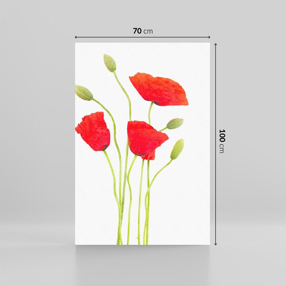 Obraz na płótnie 70x100 - Pola maków w pełnym kolorze - maki, kwiaty