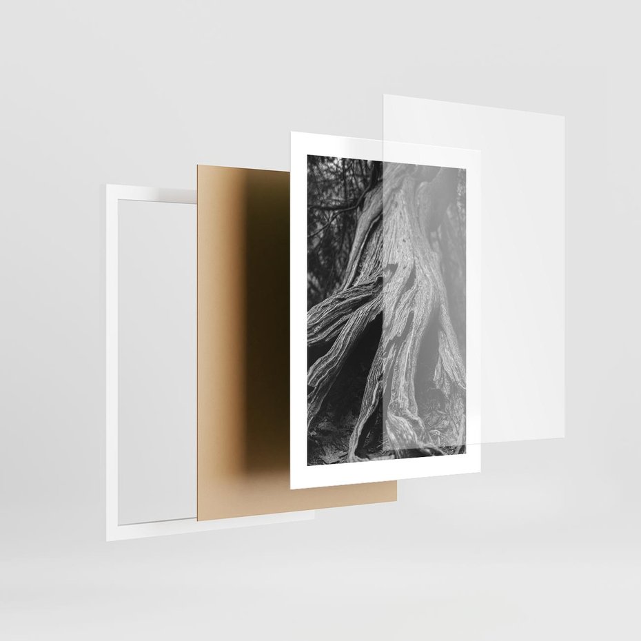 Plakat w ramie 30x40 - Siła Natury - czarno biała fotografia, korzenie wielkiego drzewa - rama biała