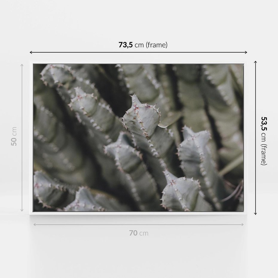 Obraz w ramie 70x50 - Boho kaktusy na pustyni - kaktusy, pustynia - rama biała