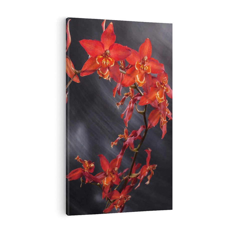 Obraz na płótnie 70x100 - Kolorowy Raj - kwiaty, tropikalne