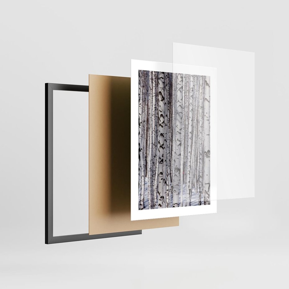 Plakat w ramie 30x40 - Lśniące Brzozy - brzozy, las - rama czarna
