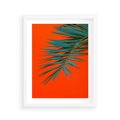 Plakat w ramie 40x50 - Egzotyczny Urok - liście, palma - rama biała