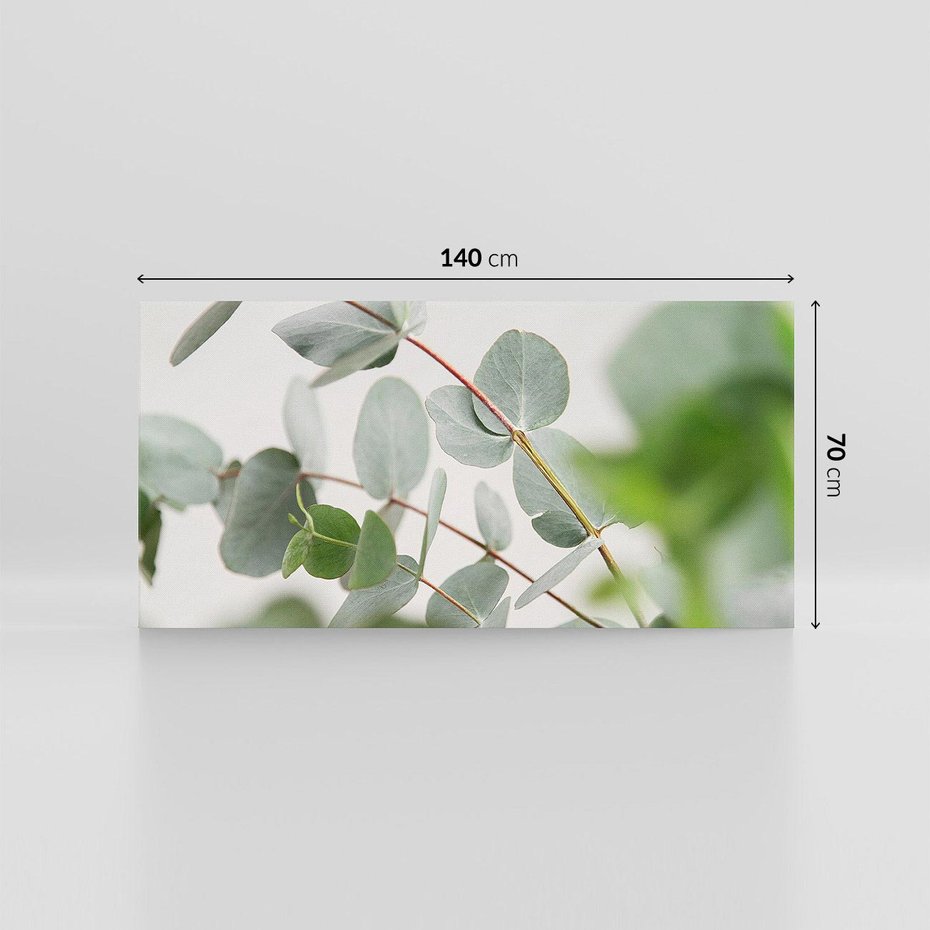 Obraz na płótnie 140x70 - Liście eukaliptusa w naturze - eukaliptus, liście