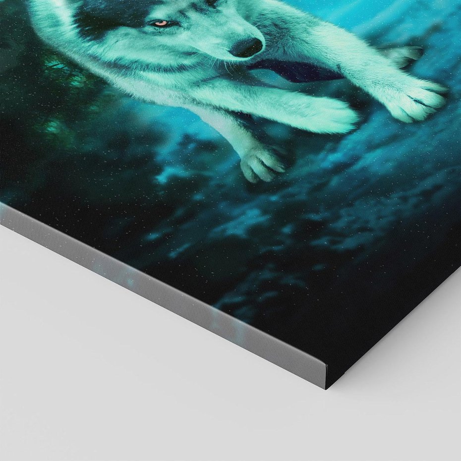 Obraz na płótnie 50x70 - Siła i wdzięk natury - wilk, husky