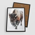 Plakat w ramie 50x70 - Zimowy Władca Puszczy - żubr, bizon - rama czarna