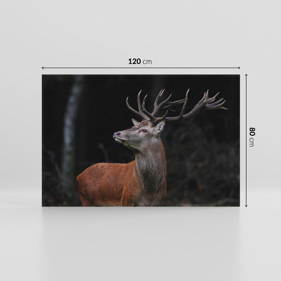 Obraz na płótnie 120x80 - Spotkanie z naturą - jeleń, las