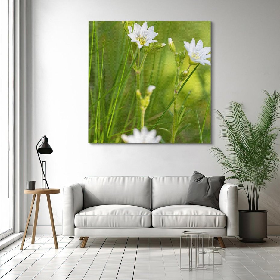 Obraz na płótnie 60x60 - Kolorowa łąka - stokrotki, łąka