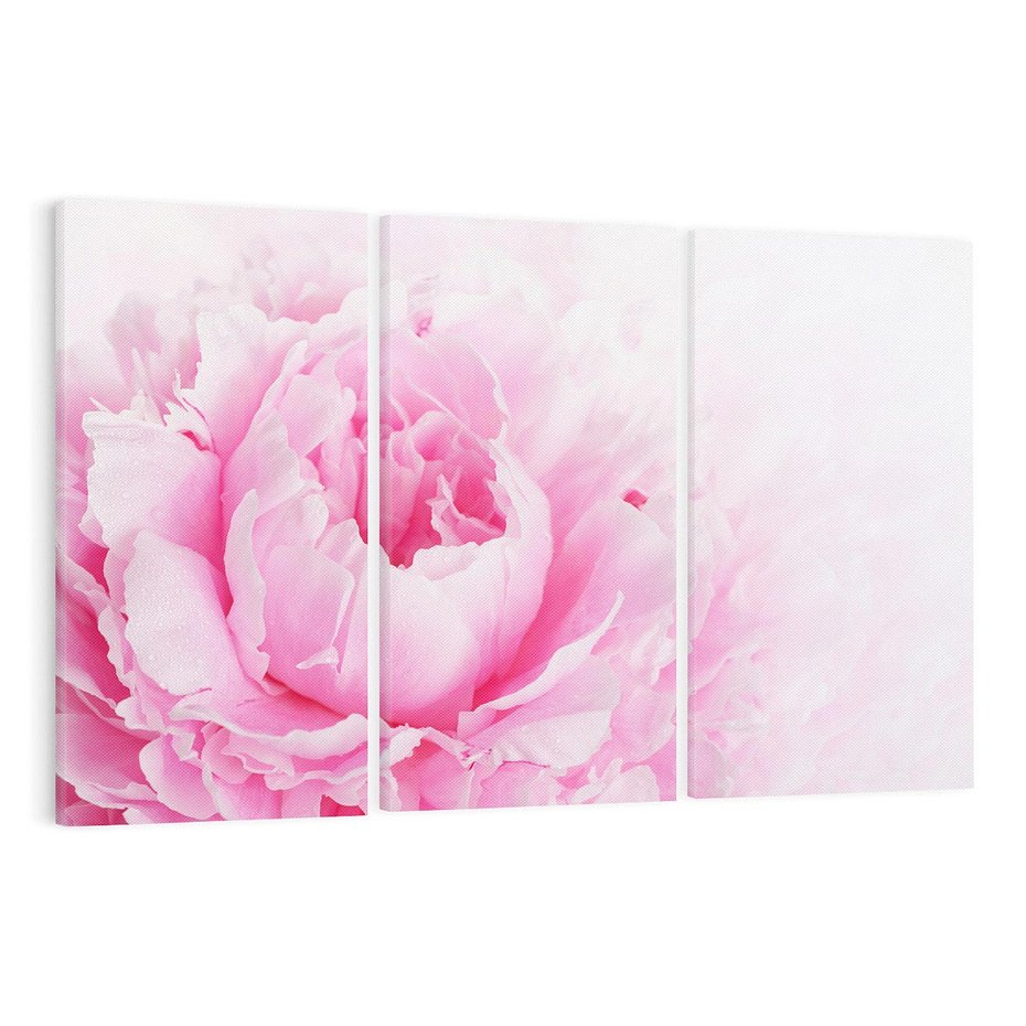 Obraz na płótnie 120x80 - Kwiatowa harmonia - kwiaty