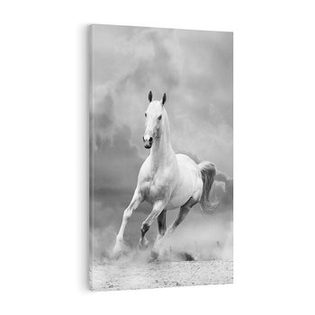 Obraz na płótnie 80x120 - Elegancja w Czarno-Białym - koń, biało