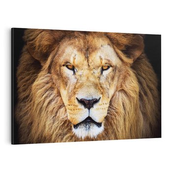 Obraz na płótnie 100x70 - Król zwierząt w majestatycznym stylu - lew, król