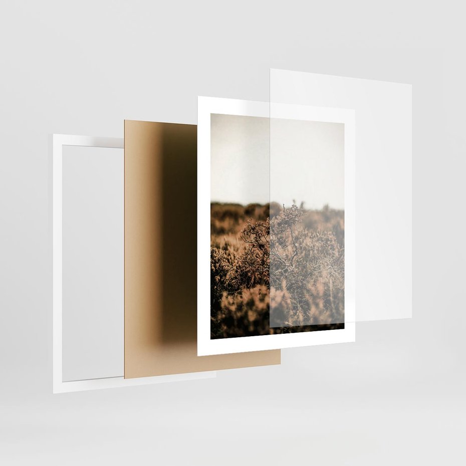 Plakat w ramie 40x50 - Krajobraz W Naturze: Beże i Brązy - suche krzewy, natura - rama biała