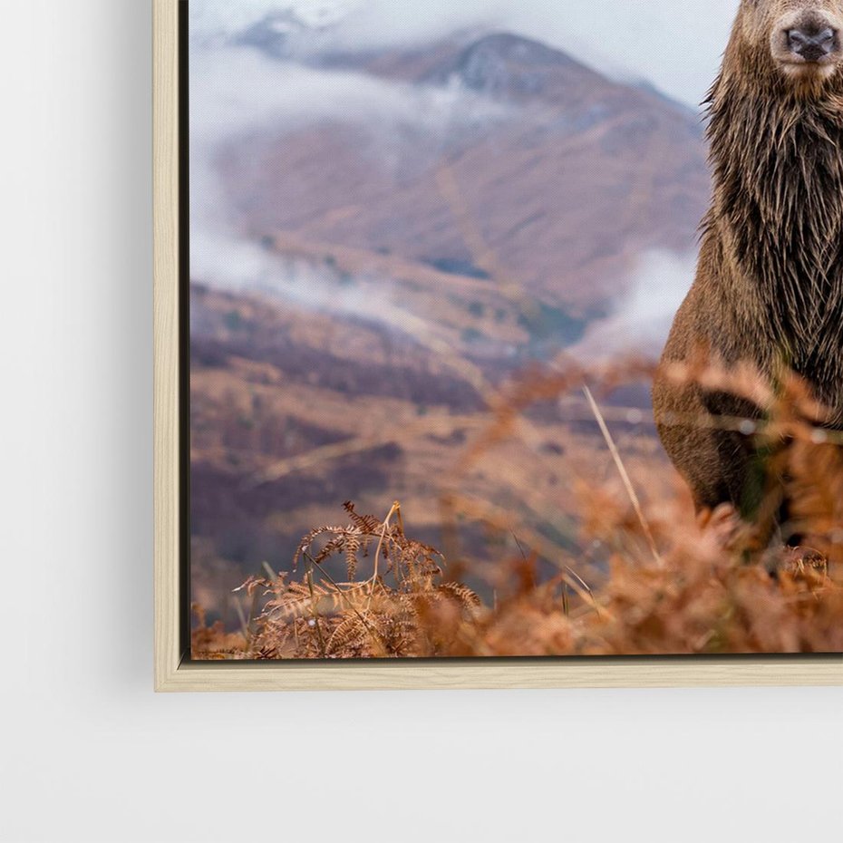 Obraz w ramie 80x80 - Jeleń w Uśpionym Krajobrazie - jeleń na tle gór, ośnieżone góry - rama drewno