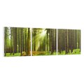 Obraz na płótnie 120x40 - Spokój wśród drzew: las w odcieniach zieleni - las, drzewa