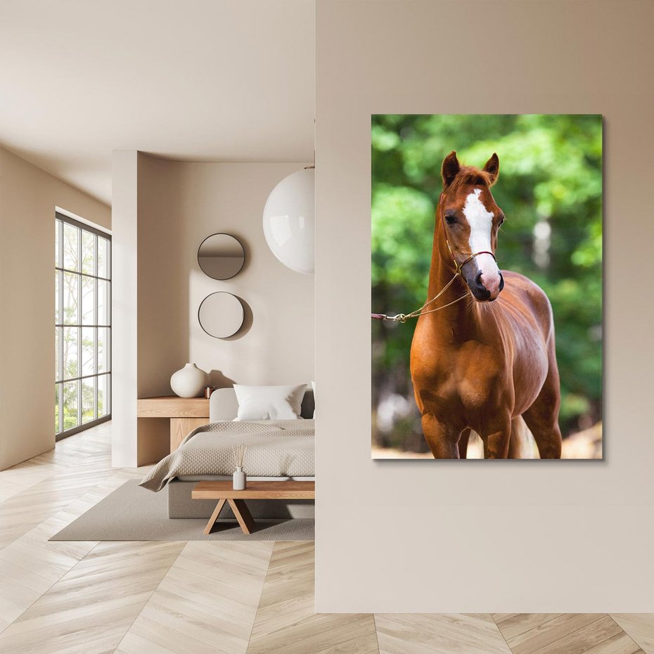 Obraz na płótnie 70x100 - Portret Szlachetnego Konia - koń, portret