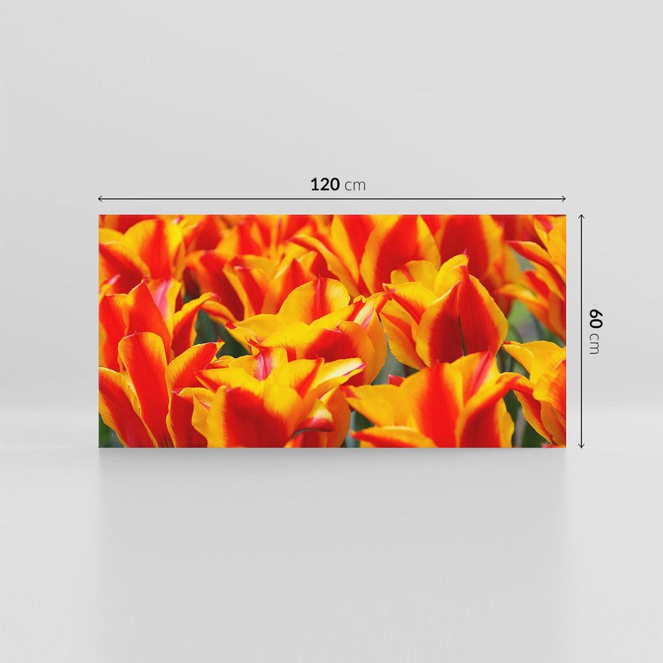 Obraz na płótnie 120x60 - Kwiatowa natura - kwiat, kwiaty