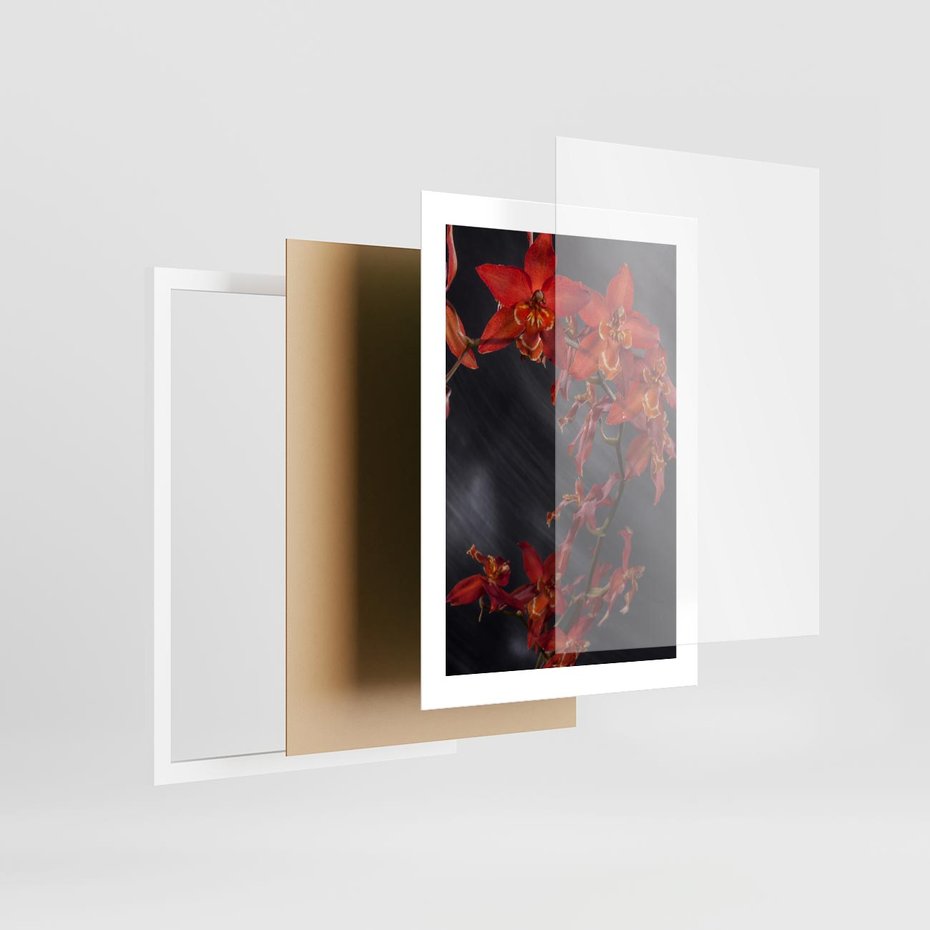 Plakat w ramie 30x40 - Kolorowy Raj - kwiaty, tropikalne - rama biała