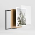 Plakat w ramie 50x70 - Ekskluzywna Roślinność - kaktusy, liście - rama czarna