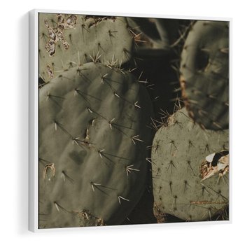 Obraz w ramie 80x80 - Urok Egzotyki - kaktusy, boho - rama biała