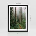 Plakat w ramie 30x40 - Mgliste Marzenia - artystyczna fotografia, las - rama czarna