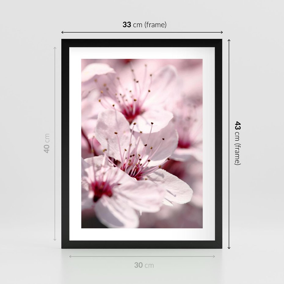 Plakat w ramie 30x40 - Kwitnąca Wiśnia - kwiaty, kwitnąca - rama czarna