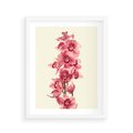 Plakat w ramie 40x50 - Orchidea w spa - relaks - orchidea, spa - rama biała