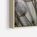 Obraz w ramie 80x120 - Makro dmuchawiec - piękno drobnych detali - dmuchawce, makro - rama drewno