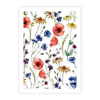 Plakat bez ramy 21x30 - Kwiatowe radości na łące - kwiaty, łączka