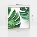 Obraz w ramie 80x80 - Monstera - Liście Kwiaty - monstera, liście - rama drewno