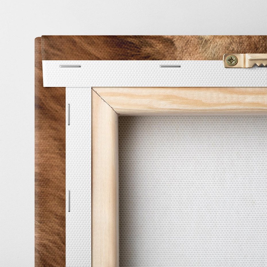 Obraz na płótnie 80x80 - Władca Sawanny - lew, sawanna