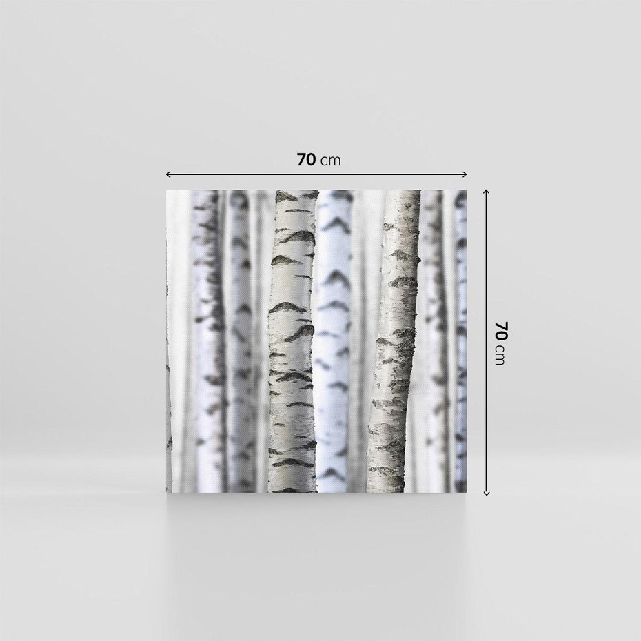 Obraz na płótnie 70x70 - Delikatność brzóz - brzozy, las