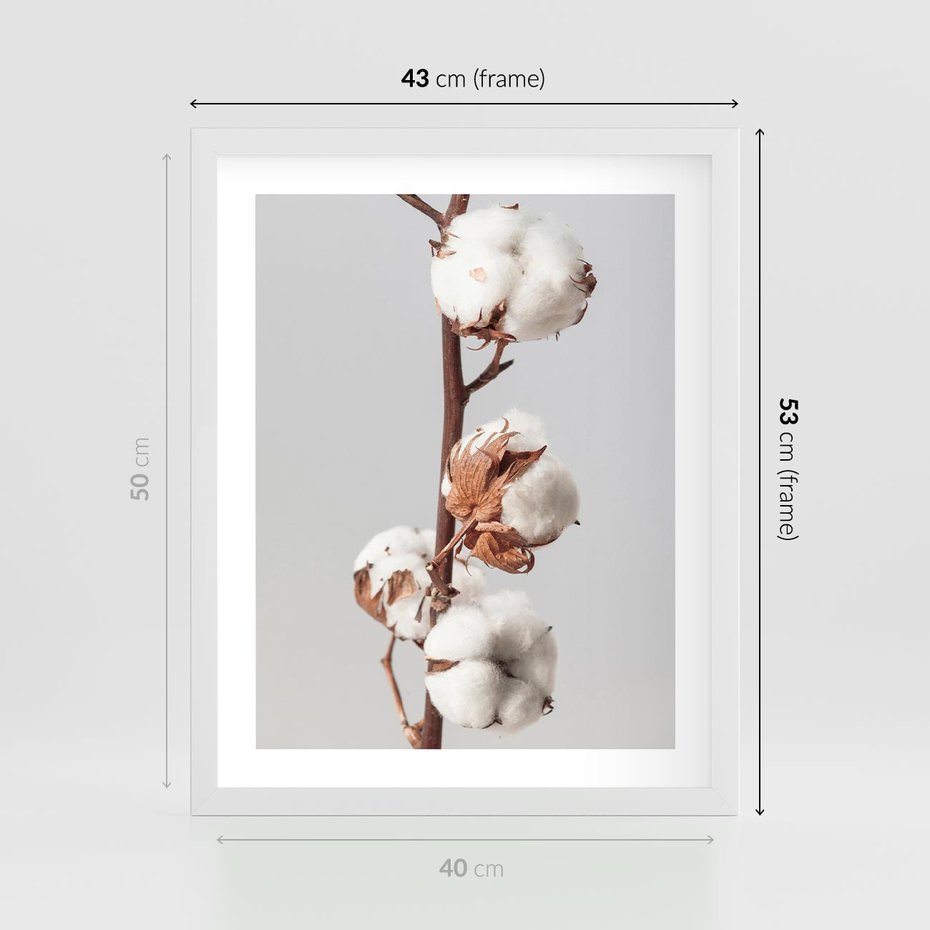Plakat w ramie 40x50 - Spokojna Gałązka Bawełny - gałązka bawełny, prosta spokojna fotografia - rama biała
