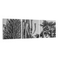Obraz na płótnie 90x30 - Pustynny Klimat - czarno białe zdjecie, pustynia